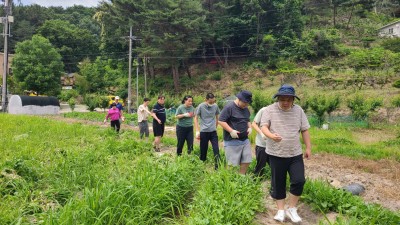 2026/06/09/화요일 - 누리봄활동
